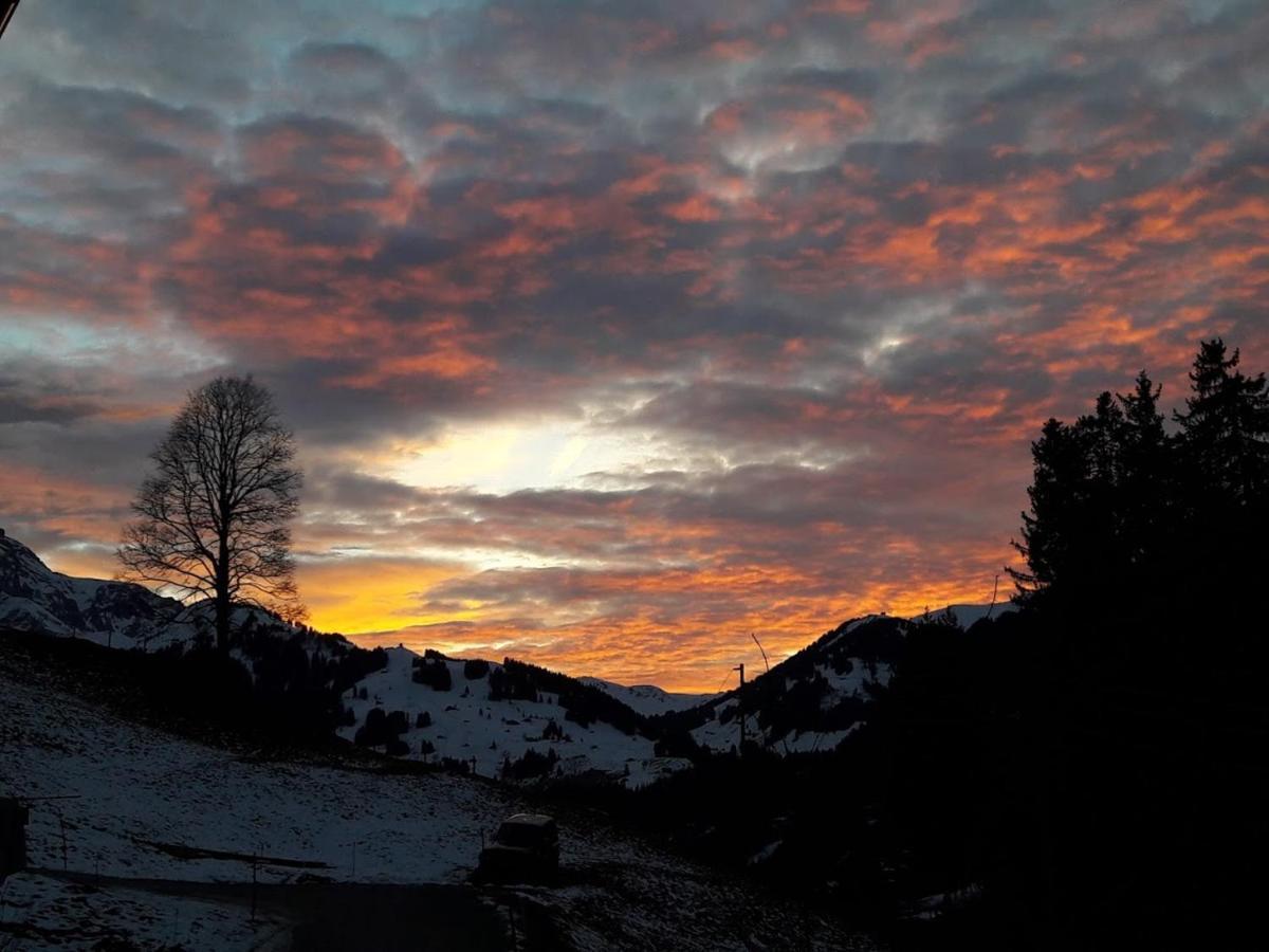 Bed and Breakfast Ferien In Der Bergwelt Von Adelboden Exteriér fotografie