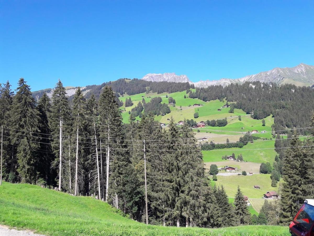 Bed and Breakfast Ferien In Der Bergwelt Von Adelboden Exteriér fotografie